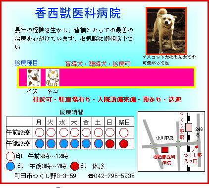 東京都市部の動物病院